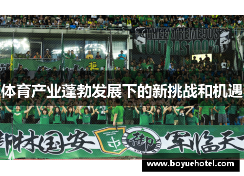 体育产业蓬勃发展下的新挑战和机遇 体育产业蓬勃发展下的新挑战和机遇